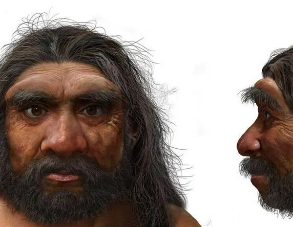 China: el hallazgo de un cráneo de un millón de años podría reescribir la historia de la evolución humana