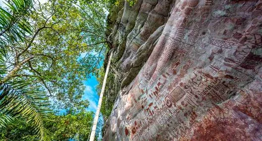 Foto de Parque Nacional Serranía Chiribiquete, en nota de cómo es Parque Nacional Serranía Chiribiquete, más grande que países de Europa