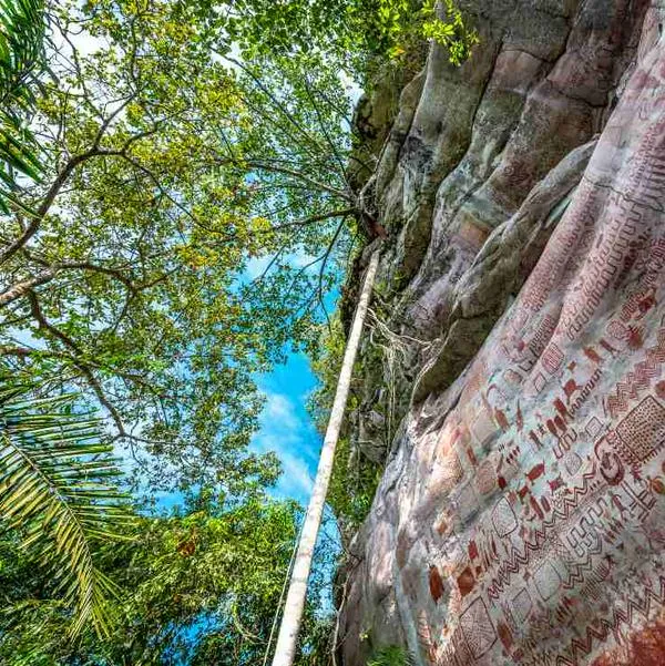 Foto de Parque Nacional Serranía Chiribiquete, en nota de cómo es Parque Nacional Serranía Chiribiquete, más grande que países de Europa