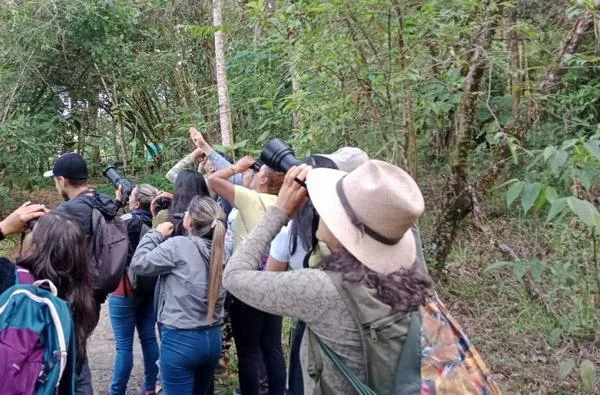 Taller gratis en Manizales: aprenda lo básico para observar aves y celebre el October Big Day