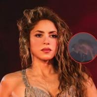 ¿Shakira besó a un misterioso hombre en concierto? Video aclaró situación
