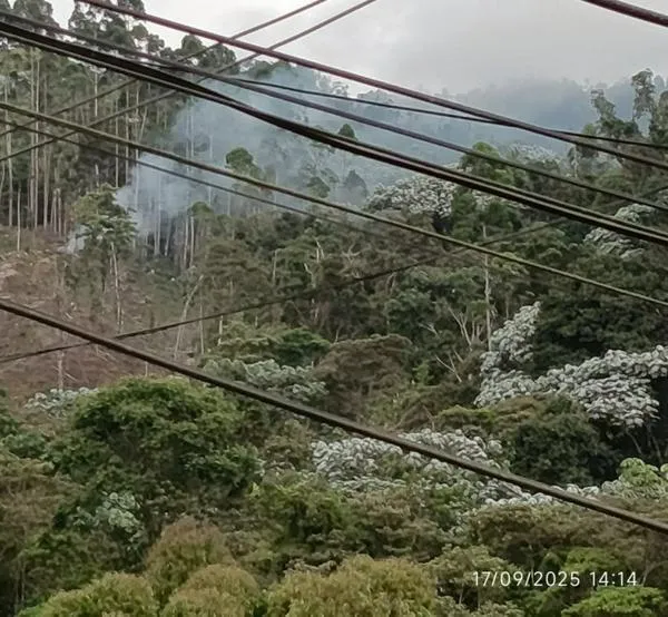 Denuncian quema de carbón en reserva ambiental de Manizales y acumulación de humo en casas cercanas