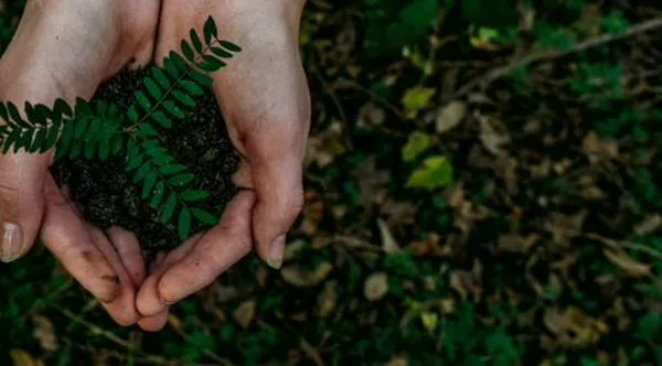 Cali destaca el rol de las mujeres rurales en la protección de la biodiversidad