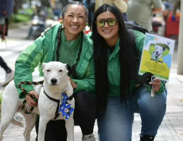 Bogotá celebra el Día Mundial de los Animales con adopciones y actividades 