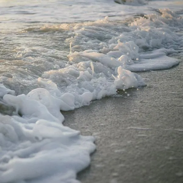 Hallaron el último cuerpo de turistas que murieron en playas de Bahía Solano