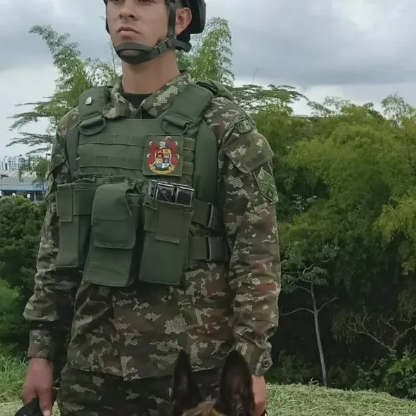 Eli, la perra antinarcóticos que protege al Quindío desde la Línea