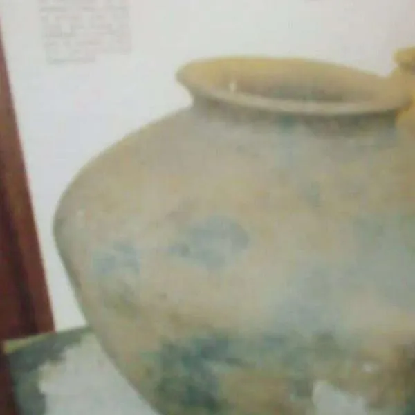 Las urnas cinerarias arqueológicas de Génova