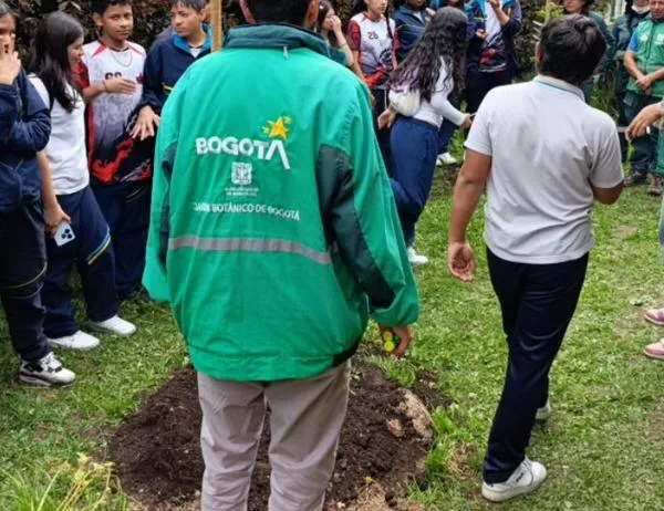 El Colegio El Porvenir de Bosa se renaturaliza con especies nativas y nuevos árboles  