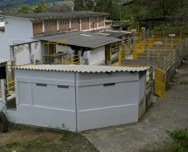 $25 mil millones invertidos en 15 mataderos de Caldas, pero solo operan 3: buscan sacrificar elefantes blancos