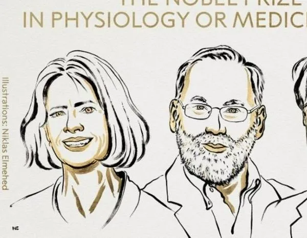 Nobel de Medicina para los estadounidenses Mary E. Brunkow, Fred Ramsdell y al japonés Shimon Sakaguchi