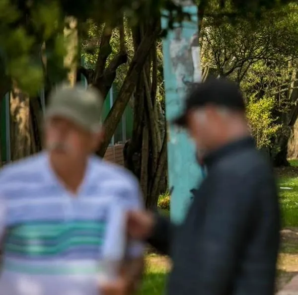Pensión por invalidez en Colombia: documentos que necesita para reclamarla
