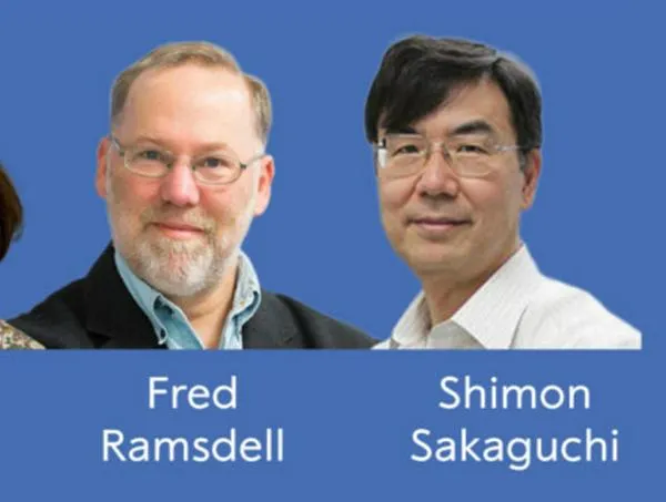 Nobel Medicina a Brunkow, Ramsdell y Sakaguchi por la tolerancia inmunológica periférica