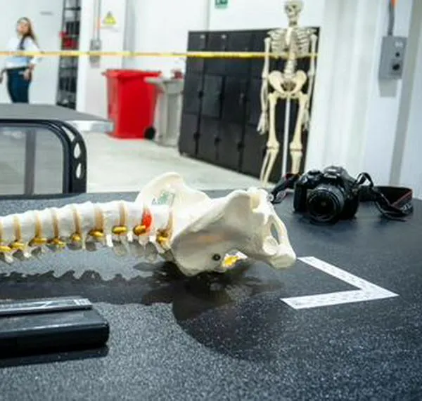 Para identificar 482 cuerpos, UBPD y Medicina Legal abren tercer Centro Forense