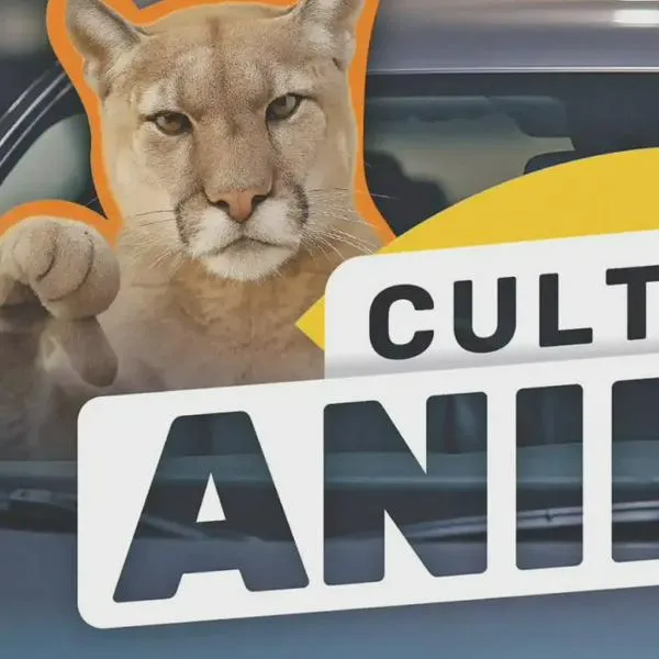 Con campaña Cultura Animal, Plaza Flora y Unicentro hacen llamado al buen comportamiento