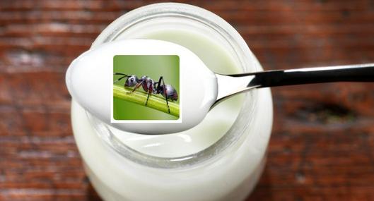 image_desktop