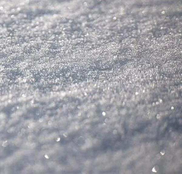 Los microbios que “despertaron” tras 40.000 años atrapados en el hielo