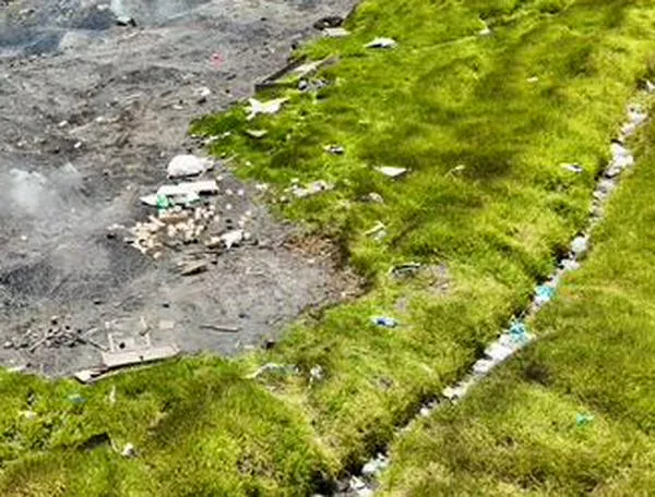 Detienen producción ilegal de carbón vegetal en zona rural de Ciudad Bolívar
