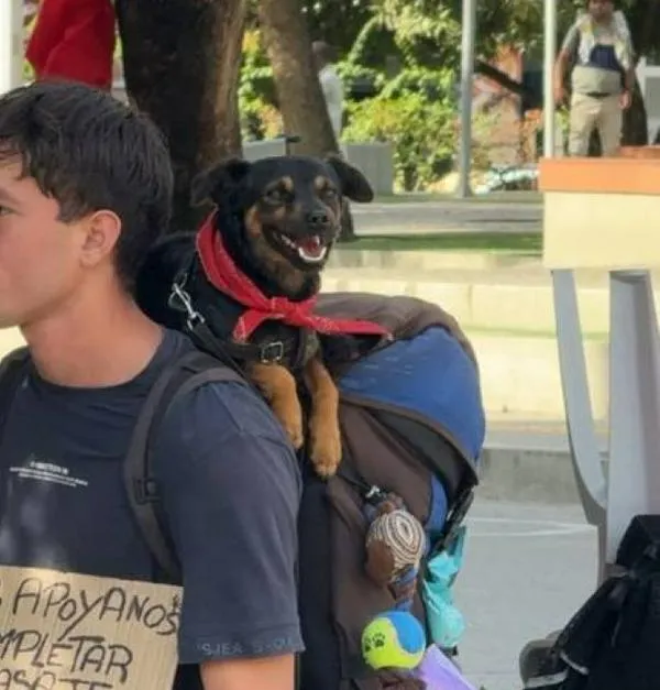 La historia que conmovió a miles de personas en redes y tiene un final feliz para Josué y su perro Ares