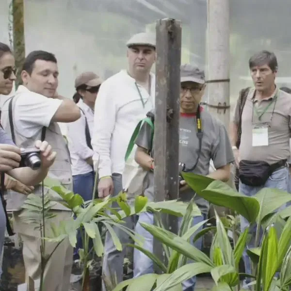 Jardín Botánico del Quindío realizará la primera Feria de Palmas Útiles, Usos y Saberes