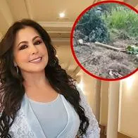 Arelys Henao señalamiento contra cantante por daños en finca Antioquia