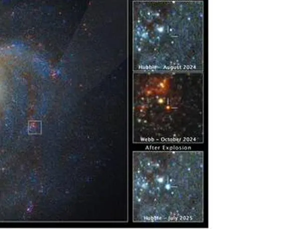 ¿Cómo se ve una estrella antes de explotar? El James Webb capturó su imagen