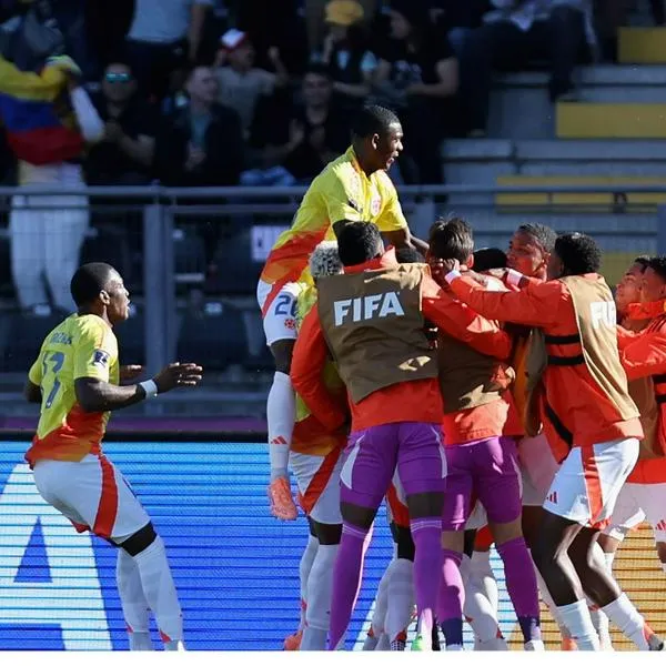 Selección Colombia vs España mundial sub 20: gol de Néiser Villareal 