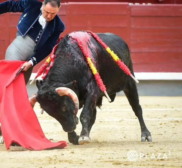 Festival de maestría de César Rincón en Las Ventas de Madrid en el homenaje a 'Antoñete'