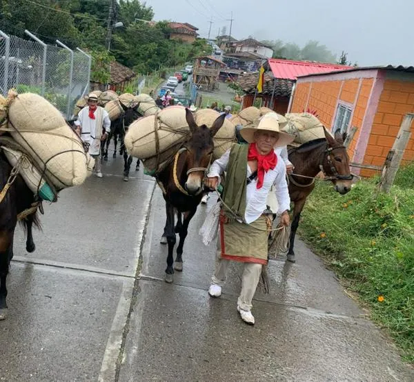 Las Fiestas de la Arriería en Neira celebraron la cultura y la alegría en el Paisaje Cultural Cafetero