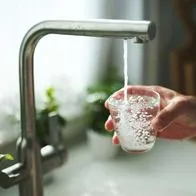 Por qué los vasos huelen a huevo y cómo solucionar, según experto sobre efecto