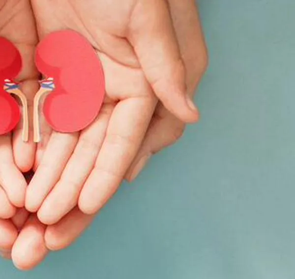 Más de 2 mil personas en Bogotá están a la espera de un órgano: ¿cómo donar?