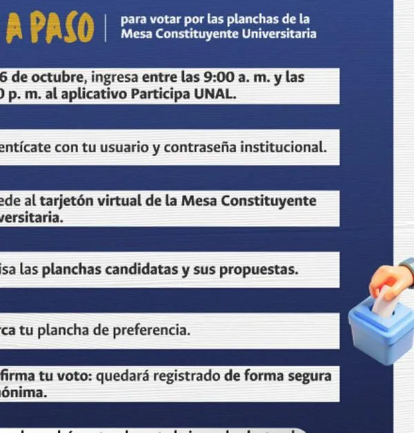 Estos son los aspirantes de Manizales a la Mesa Constituyente de la U. Nacional, llegan las elecciones 