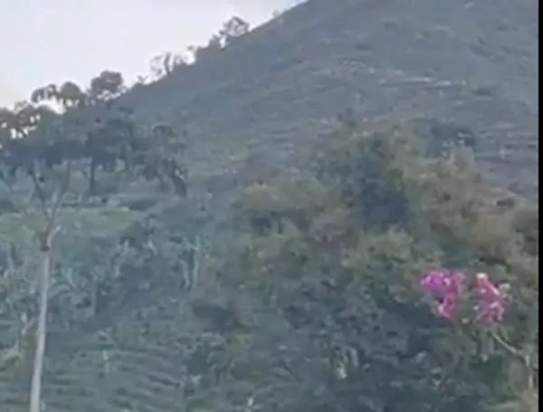Enfrentamientos entre Policía y Ejército con el Clan del Golfo en zona rural de Belén de Umbría