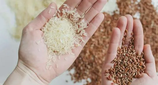 Retiro masivo de varios tipos de arroz por posible presencia de piedras: cuáles
