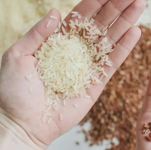 Retiro masivo de varios tipos de arroz por posible presencia de piedras: cuáles