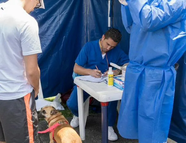 Vacuna gratis a tu perro o gato en más de 130 puntos habilitados en Bogotá 