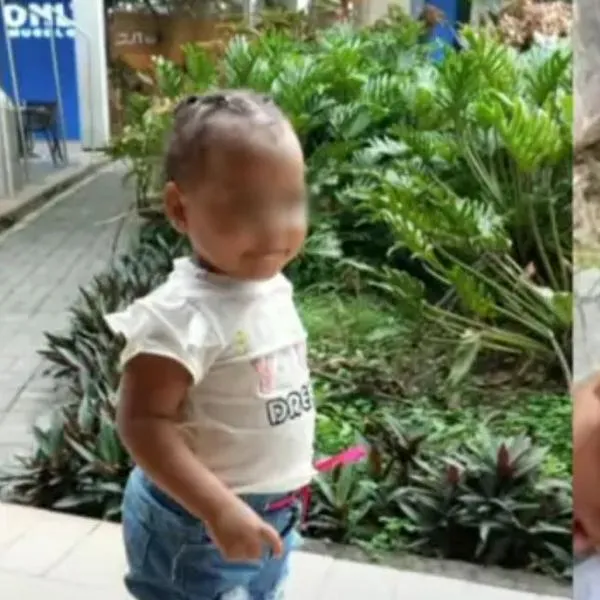 Eileen Páez, bebé perdida en Tolima hace año y medio, apareció muerta