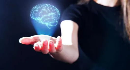 Foto de cerebro, a qué edad tiene cerebro humano su nivel más alto de rendimiento, según estudio