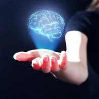 Foto de cerebro, a qué edad tiene cerebro humano su nivel más alto de rendimiento, según estudio
