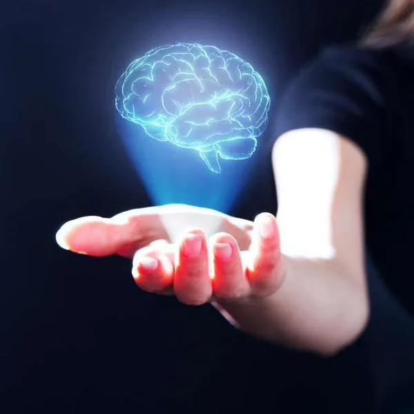 Foto de cerebro, a qué edad tiene cerebro humano su nivel más alto de rendimiento, según estudio
