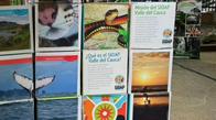 ¡La importancia de cuidar las áreas protegidas! UAO presente en evento ecológico y económico regional