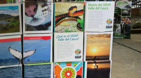 ¡La importancia de cuidar las áreas protegidas! UAO presente en evento ecológico y económico regional