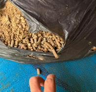 Incautan más de dos toneladas de cocaína líquida mezclada con derivados de café