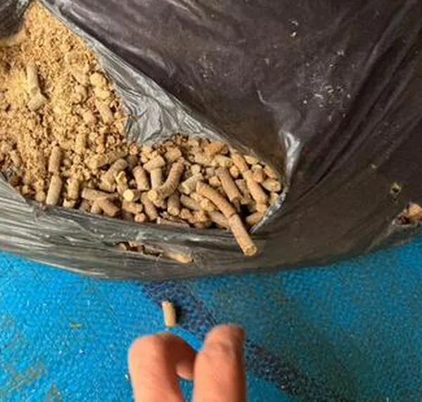 Incautan más de dos toneladas de cocaína líquida mezclada con derivados de café