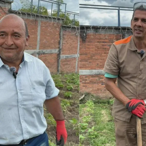 Volver a la tierra: adultos mayores privados de la libertad siembran esperanza