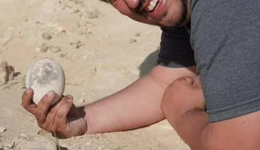 Científicos hallan huevo de dinosaurio durante expedición transmitida en vivo