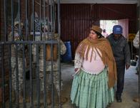 Bolivia: comienza la segunda vuelta presidencial que pone fin a dos décadas de dominio socialista