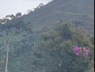 Encontraron cilindro bomba de 40 libras en zona rural del Eje Cafetero: lo detonaron controladamente