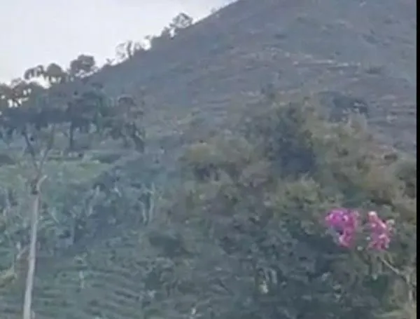 Encontraron cilindro bomba de 40 libras en zona rural del Eje Cafetero: lo detonaron controladamente