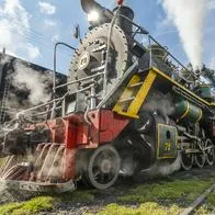 Tren de la Sabana