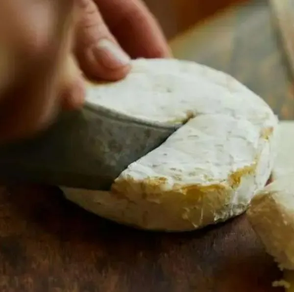 Alertan por queso contaminado con bacteria que, al parecer, contiene una bacteria que produce una peligrosa toxina en España.